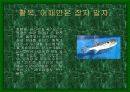 [어류 생물학] 복어의 특징과 종류 8페이지