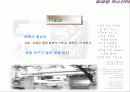 [마케팅] 민들레영토 시장조사및 환경분석과 마케팅믹스 28페이지