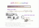 [마케팅] 민들레영토 시장조사및 환경분석과 마케팅믹스 32페이지