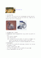 휠체어의 구조와종류 4페이지