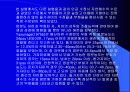 [해양생물학] 서해산 돌가자미의 초기발생시 수온과 염분의 영향에 대해서 16페이지