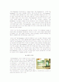 [기업경영]The Faceshop의 기업 전략 및 문제점 분석 11페이지