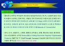 전자무역운송에대해 3페이지