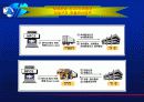 전자무역운송에대해 11페이지