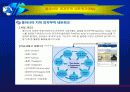 전자무역의 현황 14페이지