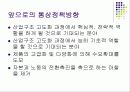 일본중국의 통상정책 5페이지