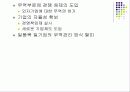 일본중국의 통상정책 8페이지