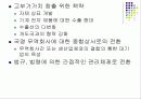 일본중국의 통상정책 10페이지