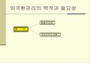 외환정책과 외환관리 3페이지