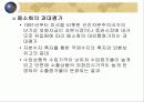 국제수지조정정책 4페이지