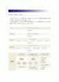 [기업분석]국내 유통시장의 전망과 현대백화점 CRM 전략 3페이지