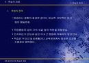 인간인지와 학습의 개념 PPT 13페이지