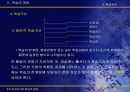 인간인지와 학습의 개념 PPT 16페이지