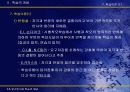 인간인지와 학습의 개념 PPT 19페이지