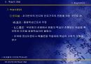 인간인지와 학습의 개념 PPT 20페이지