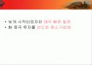 한국기업의 중국진출방향과  중국기업의 해외진출대응방안 6페이지
