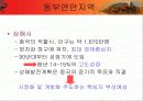 한국기업의 중국진출방향과  중국기업의 해외진출대응방안 13페이지