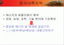 한국기업의 중국진출방향과  중국기업의 해외진출대응방안 16페이지
