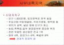 한국기업의 중국진출방향과  중국기업의 해외진출대응방안 19페이지