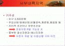 한국기업의 중국진출방향과  중국기업의 해외진출대응방안 21페이지