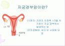 임상병리  자궁질환에 대해서 6페이지