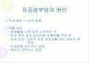 임상병리  자궁질환에 대해서 8페이지