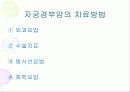 임상병리  자궁질환에 대해서 16페이지