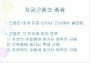 임상병리  자궁질환에 대해서 26페이지