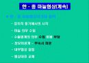 국제협상의 성공&실패요인 5페이지