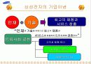 삼성전자의 국제경영 3페이지