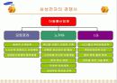 삼성전자의 국제경영 13페이지