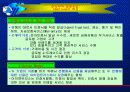 전자무역결제 12페이지