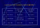대중국투자의 성공요인 8페이지