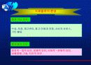 국제물류와 세계화 8페이지