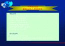 해운선사의 물류서비스업 5페이지