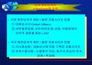 해운선사의 물류서비스업 6페이지