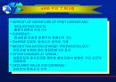 항공운송에대해 9페이지