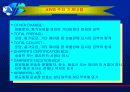 항공운송에대해 11페이지