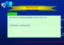 복합운송인에대해 5페이지