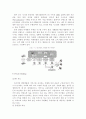 국민은행과 은행권 16페이지