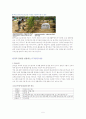 [기업윤리경영]기업의 사회적 책임사례 및 기업조사 5페이지