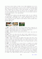 맥도날드 완전분석 25페이지