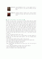의복문화의이해 9페이지