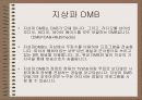 유비쿼터스생활의 DMB방송의 개요및 사업방향 12페이지