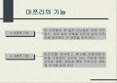 일본 연중행사 발표자료 12페이지