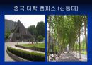 한∙중 대학생 비교 7페이지
