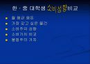 한∙중 대학생 비교 29페이지