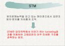 Scaning tunneling microscopey 6페이지
