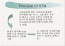 Scaning tunneling microscopey 7페이지
