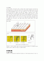 자기탐사 magnetic prospecting 5페이지
